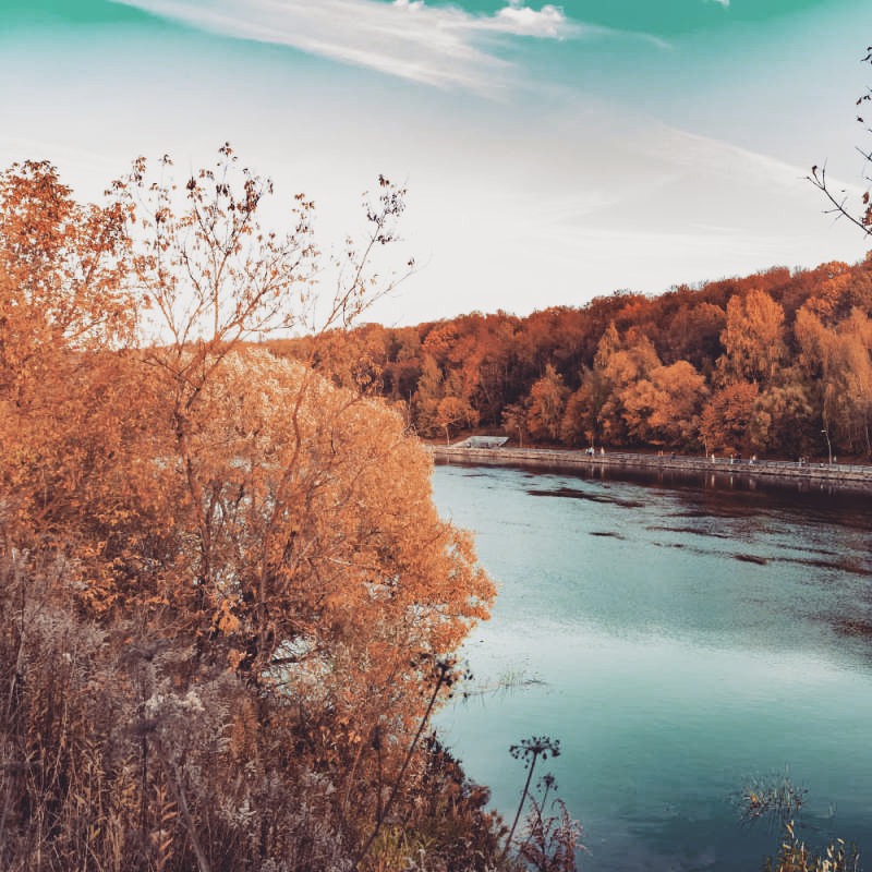 A river bordered by trees with orange and red autumn leaves.
